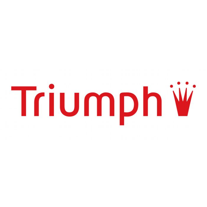 Triumph BADEANZUG Zebra